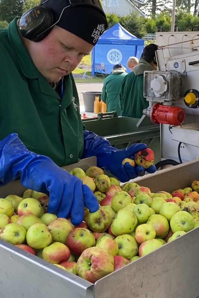 Líf laga ungdommen produserer eplemost. Foto: Ina Susanne Karlsen
